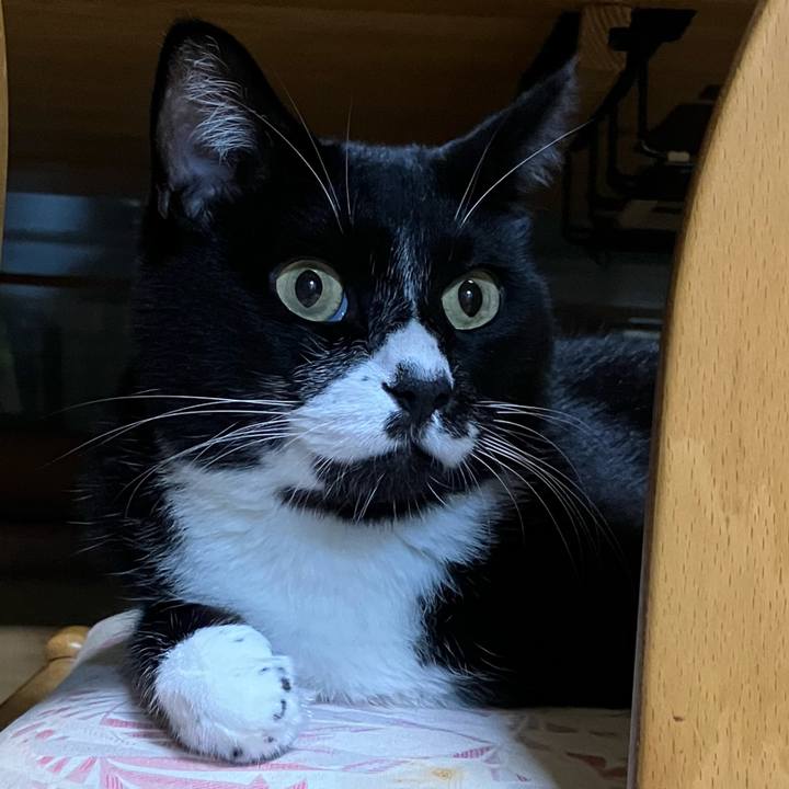 03f4bf3e 4803 4ab6 98af 1ff77b387b36 1730365260451