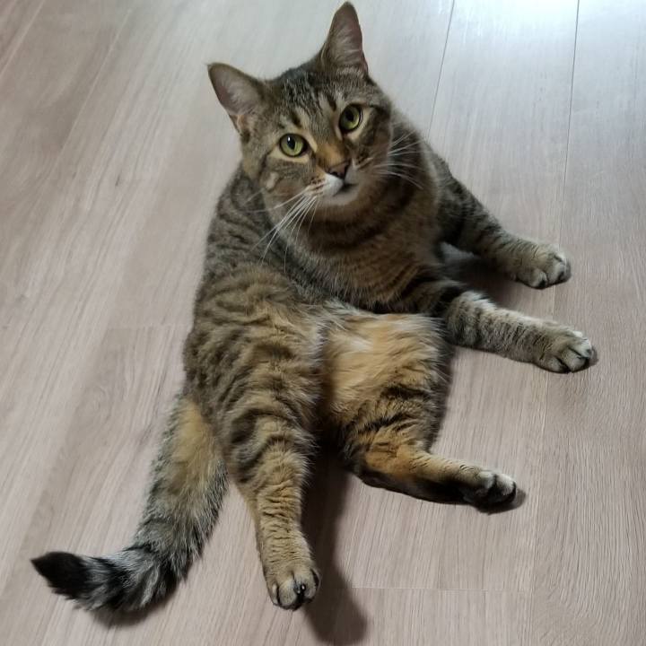 03f4ce3d 54ca 4fa0 9abc 60276c6a834f 1590983609706