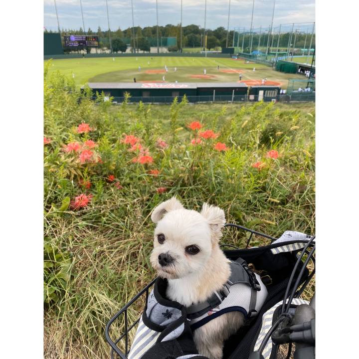 03f4dc48 3656 4020 bed5 60cef3e78cf0 1569656363503