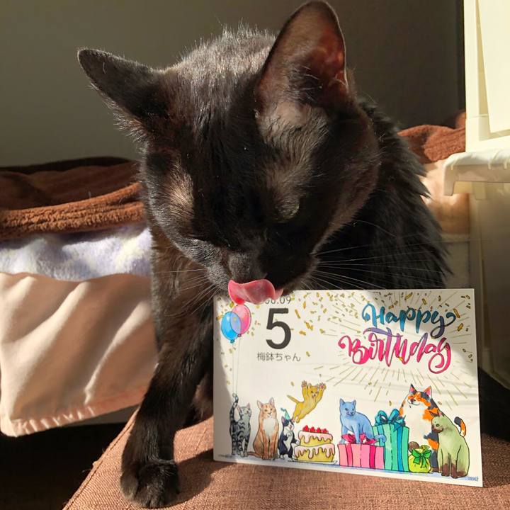 03f50ec9 9d7b 49d2 b5ef 46e9aac8e83c 1623191955651