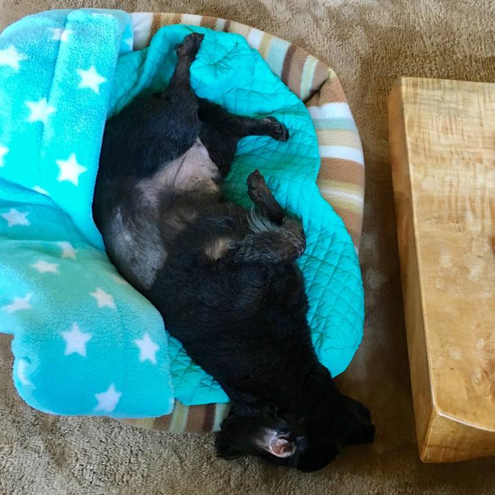 03f5264c d0b6 4091 896c 8c763f7efc9f 1524177312230