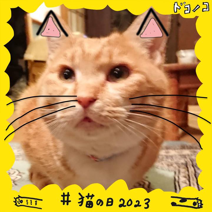 03f52c92 a387 4129 888c 0aa28c4db5e4 1677027713064