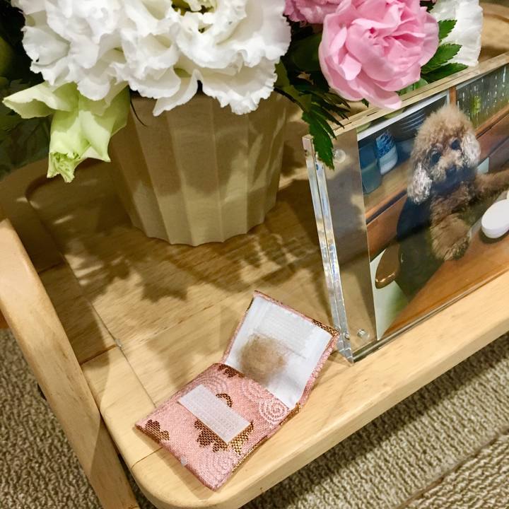 03f54512 80be 47be a7e0 609b48443a2f 1534169967657