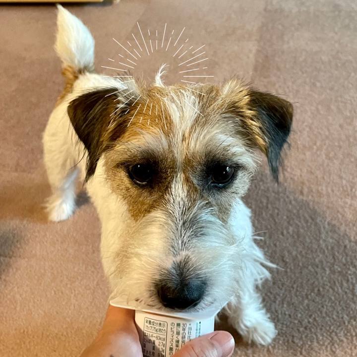 03f5674e edb1 4fdc 8bc0 cca65c2914f1 1628313243397