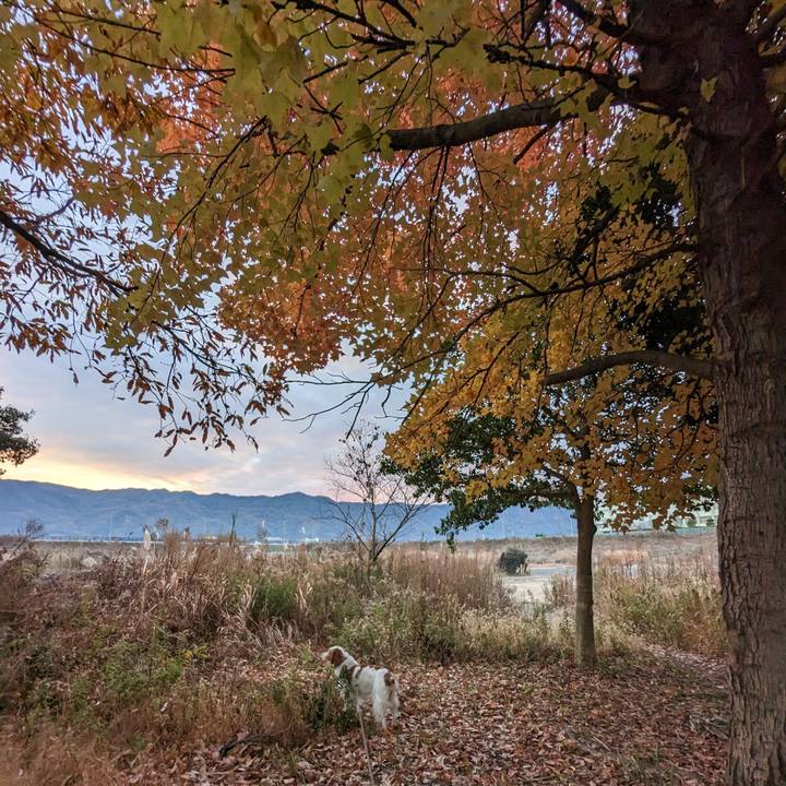 03f5674f 2e76 4ce5 9dfb 541f1f3719a4 1671579867063