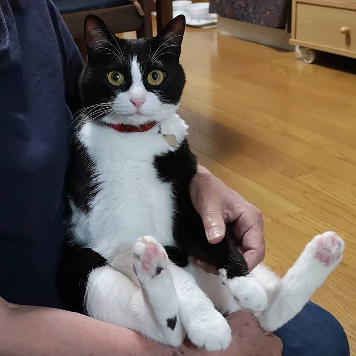 03f578f9 ecb1 45ed b825 98ef5a0cab61 1592489133484