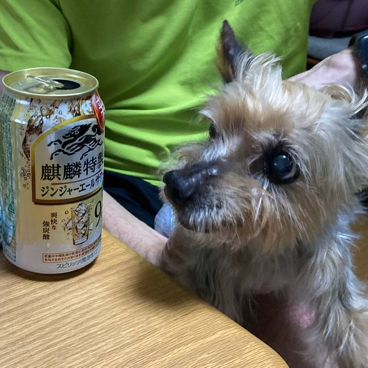 03f5e82a 0a2d 4ef6 92ab e767f36d1bf5 1694948496123