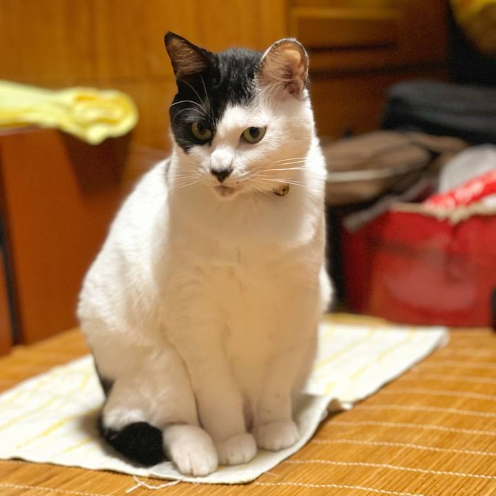 03f5f289 2474 40ec 910b 09b298d8e9b0 1667258513933