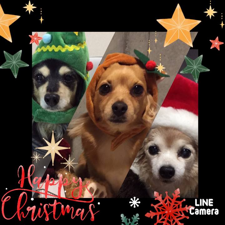 03f61ae4 2b56 4c72 b566 aa24e11e5464 1576999750151