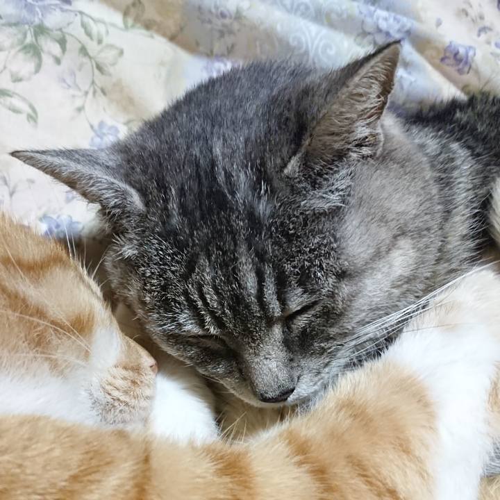 03f6243d 2313 4ce1 b248 c3bf8fbf2381 1576067826735