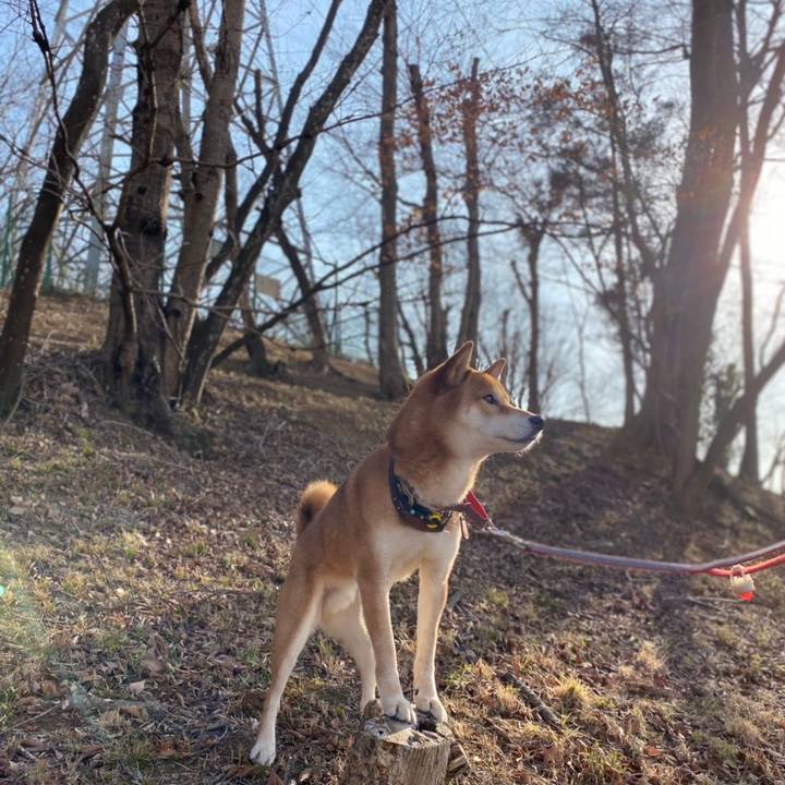 03f6261b 31f8 40be 9bd8 b2c9b6bfe7b4 1613211879574