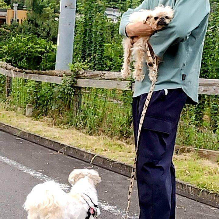 03f65eaa 590a 4ae3 a146 6636a0b265bd 1750808054281