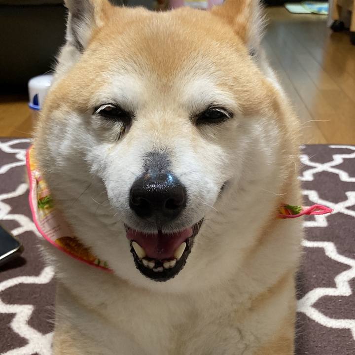 03f65fa6 b51e 4318 b1eb 164fdf3f9ab5 1651062767809