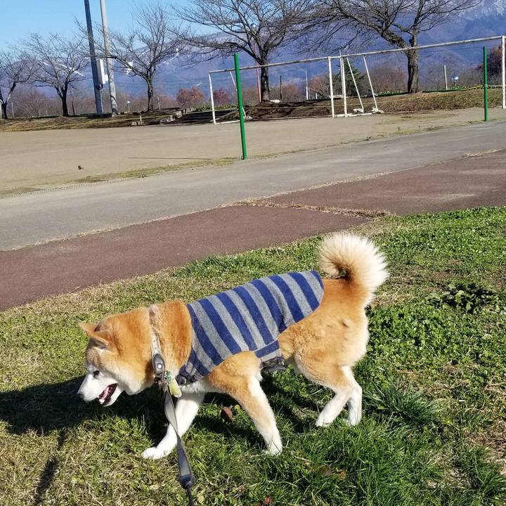 03f674f3 4b39 46d4 9cac 15337af432b9 1701836350592