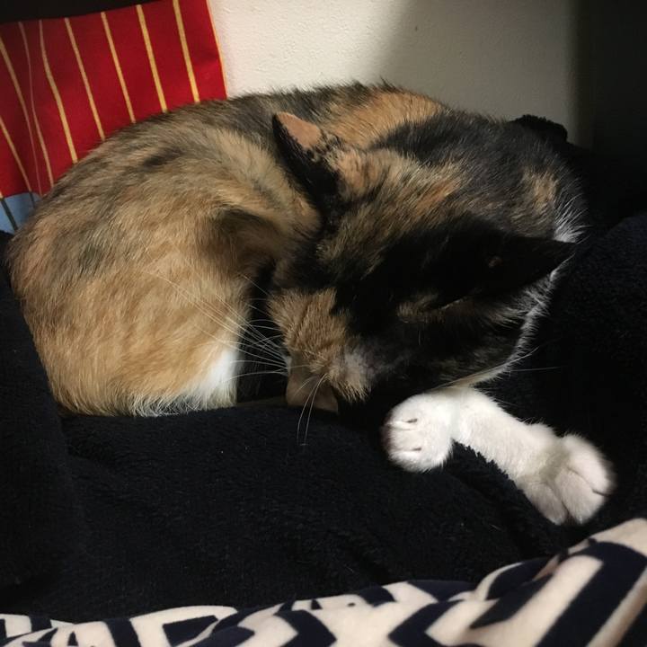 03f6755c c827 4998 96fb 68992f8d419b 1507979528119