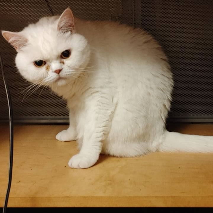 03f6cf67 58aa 4569 82a0 2d50773fe613 1623967681411