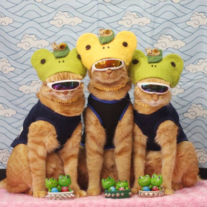 03f6efb5 08c0 4ac8 add5 ab1ce4fdbfa4 1685882023009