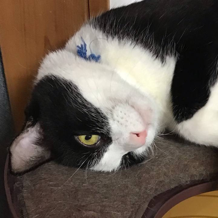 03f70005 9695 45a9 b9e4 3ae5be8a1b7c 1756967832581