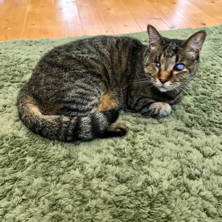 03f72927 83c1 403f bbca 822b6dbb65cf 1631258507059