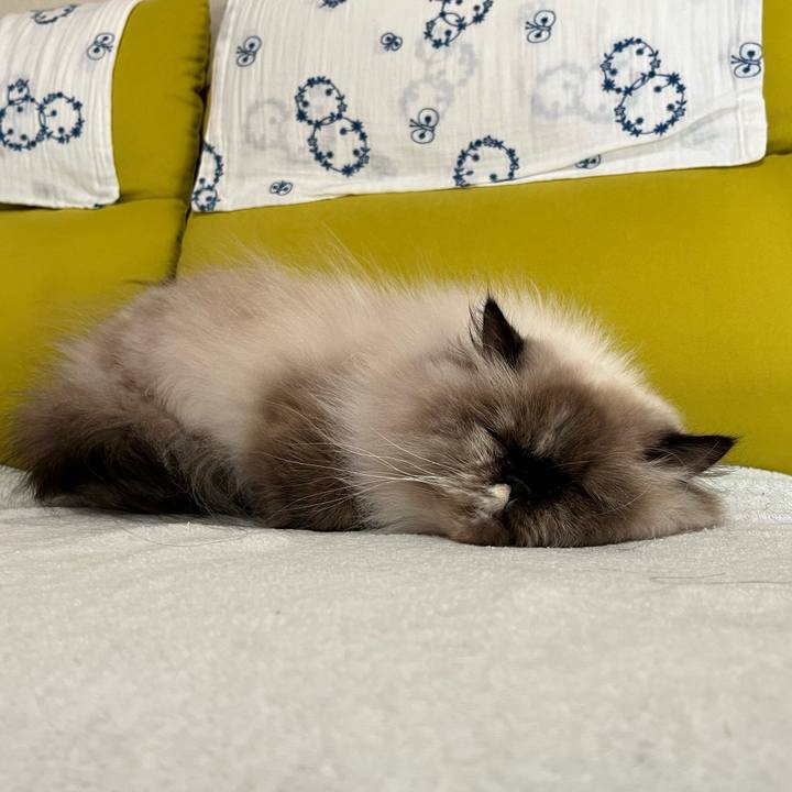 03f743cc 6819 44a2 9238 6a209a6edae8 1700386101170