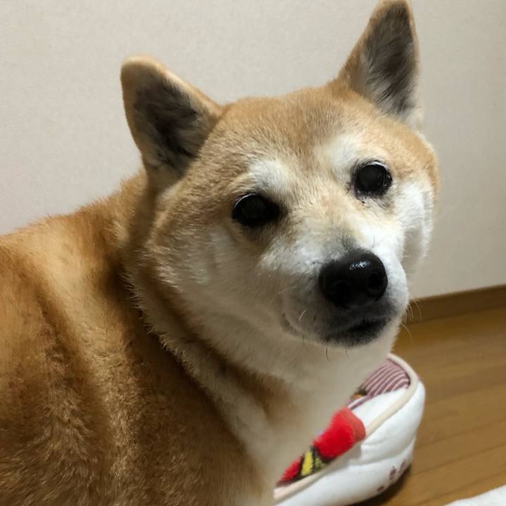 03f75647 9007 4477 8dcd c7e4d2f2ed8b 1582815237048