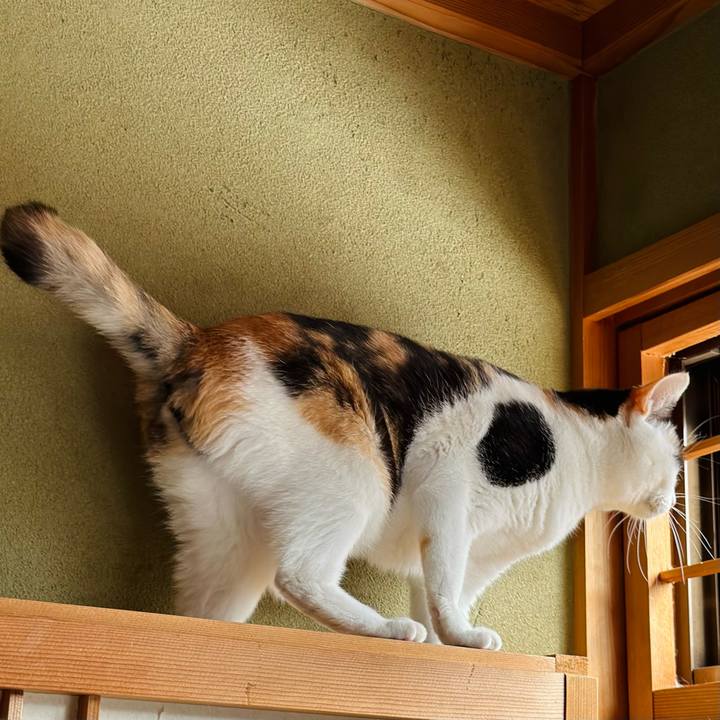 03f897bb 0d41 4910 aeb3 7e9c20a63f14 1664762359325