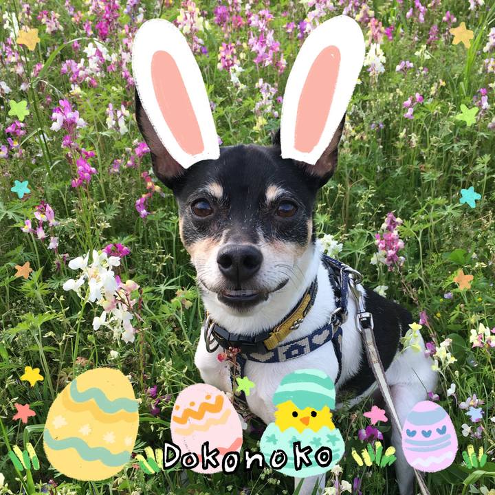 03f8a05f 0ed6 4671 9c54 5a7f17f6b540 1712357590885