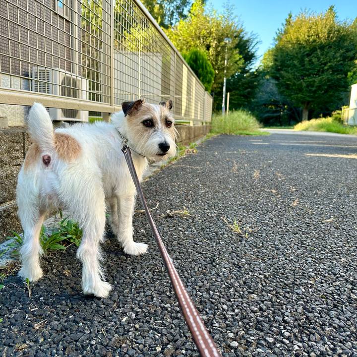 03f8a113 3707 4c49 994c bf0a72069e4c 1728882165449