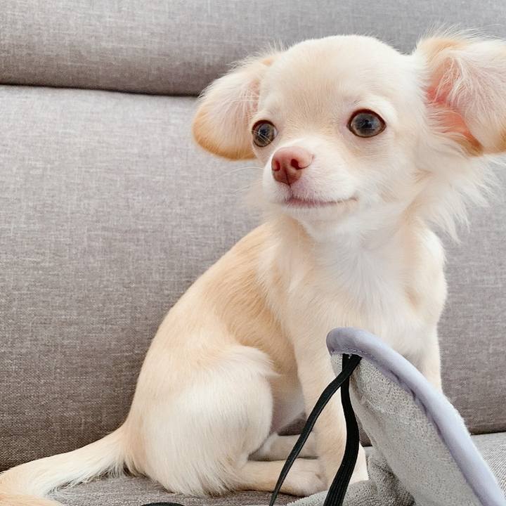 03f910d4 74ae 4823 9289 f9089741d9da 1596073664799