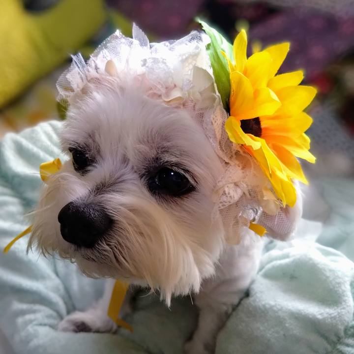 03f930d5 be7d 443d ba72 3df97ecf983d 1717409994319