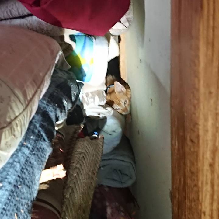 03f938fc b6d7 4e82 8624 44c41c0a6bc3 1627964359592