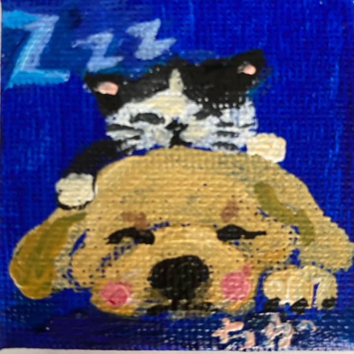 03f94134 2424 4735 9f88 ebcd05c6453d 1668595015577