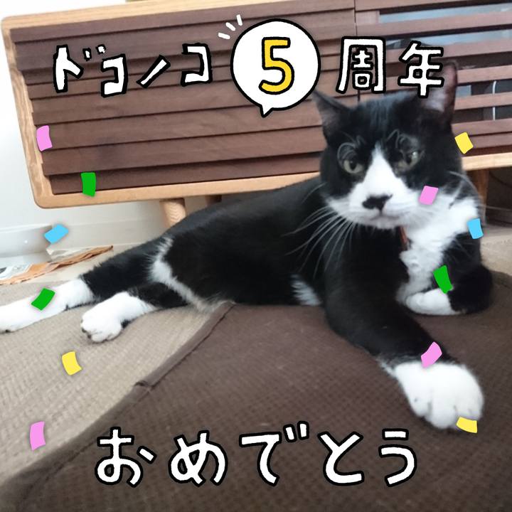 03f95e84 4a88 480d b827 4b57e0120ee7 1622854376608