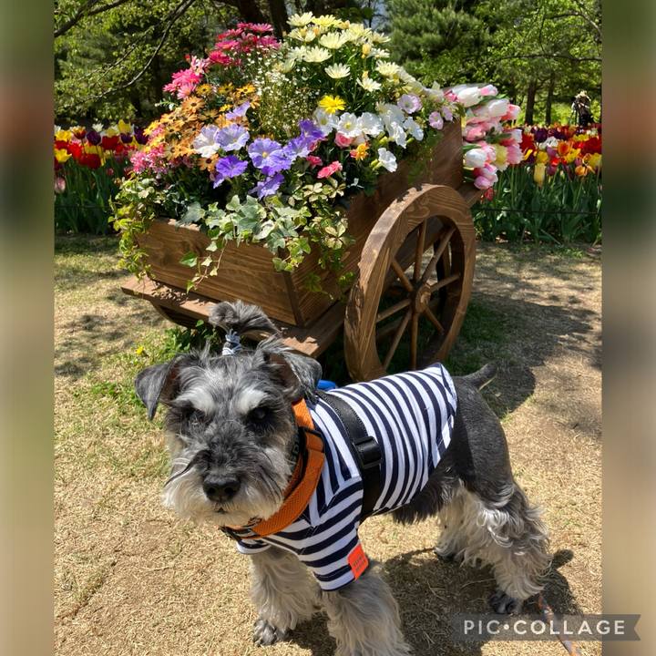 03f96abb b86a 45e4 b711 73a562ad233e 1746623914331