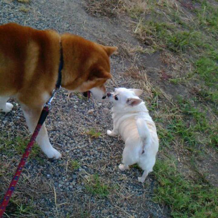 03f977b8 5b32 4716 8218 11e06c87cf04 1535177488356