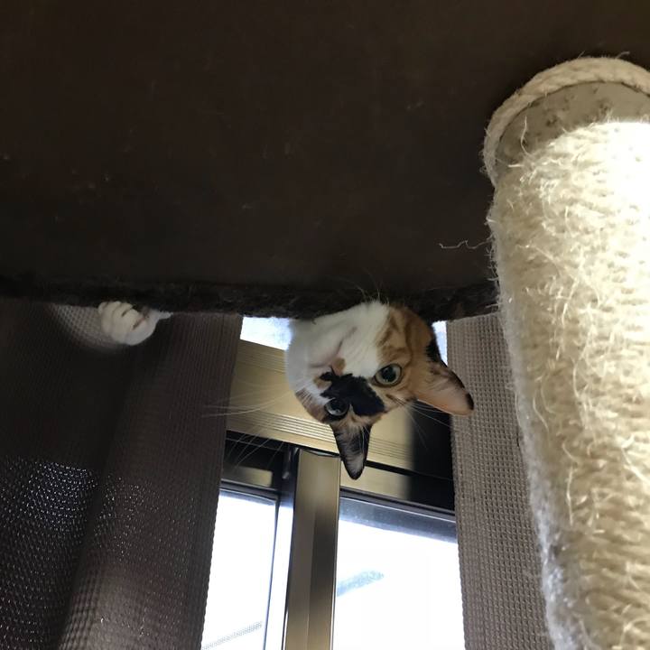 03f978a3 be43 40d1 948f e2023ae79848 1515853941563