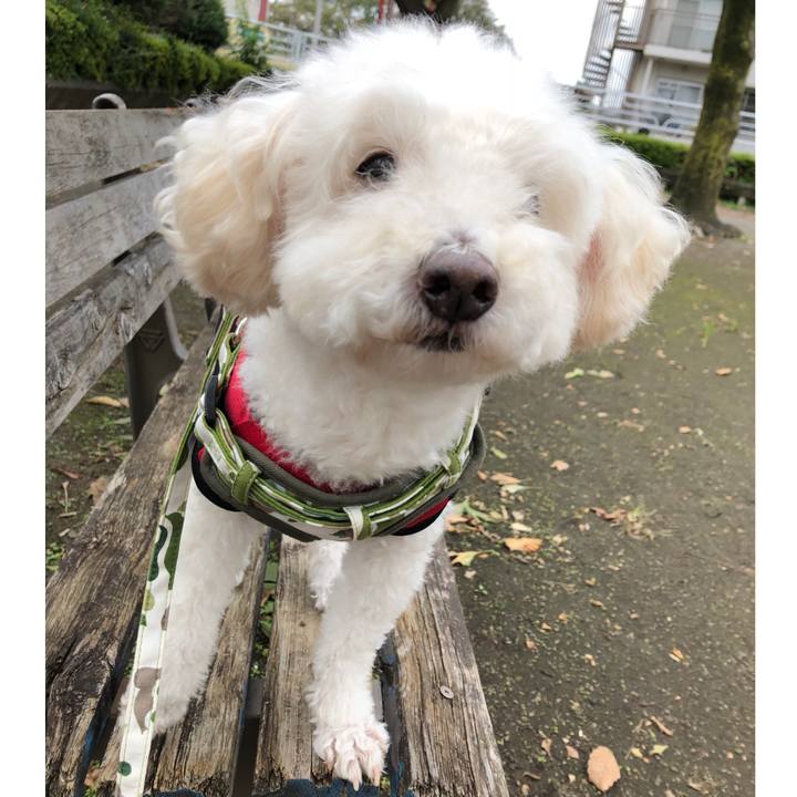 03f9942b e83b 4ad8 9d54 a6063e89d83c 1538923922187