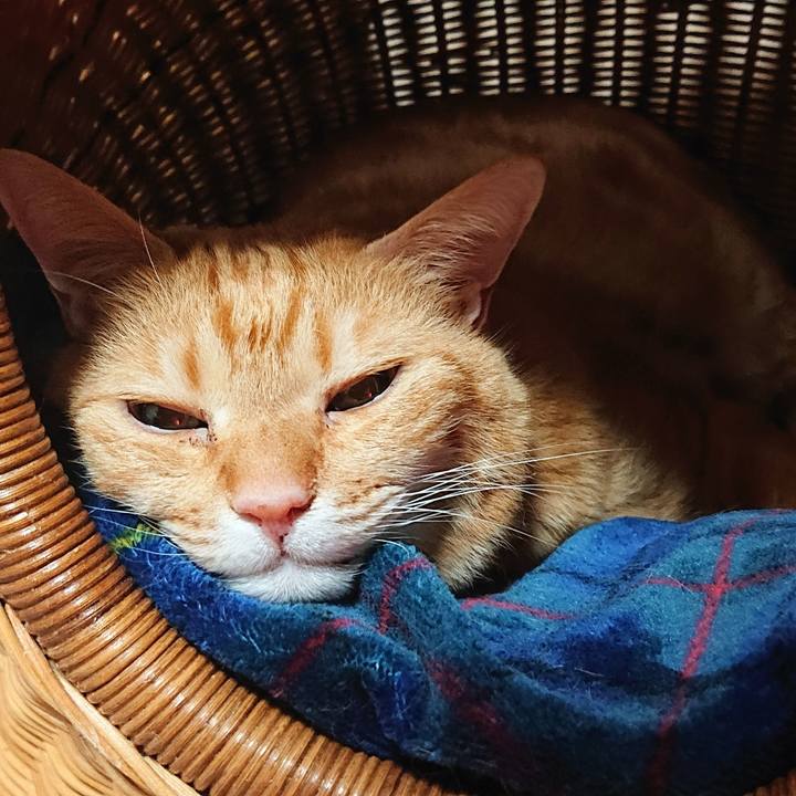 03f9989a 8f28 40fd bad4 5de2c1c9c786 1579960430004