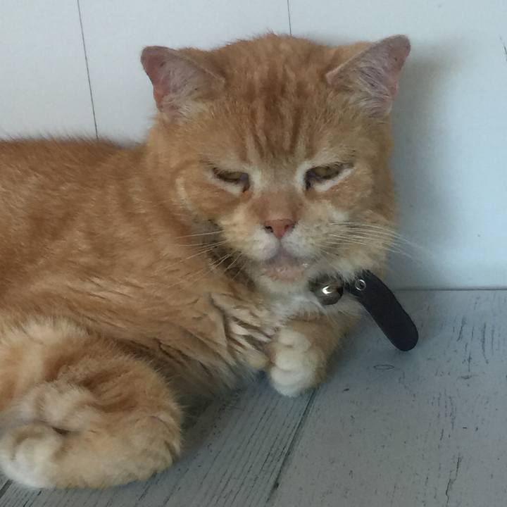 03f99bbc 8392 4c18 81cb 9ee154cdbd76 1564121810097