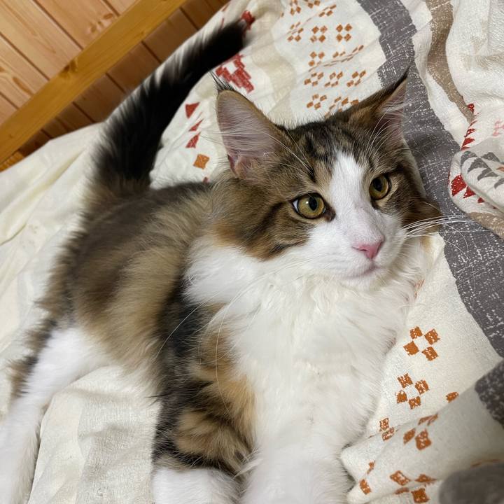 03f9d87f b607 4de4 8879 e690ee2af96a 1637785104770