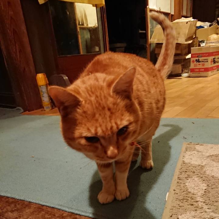 03f9ed53 14fa 4527 9591 7d70326eb963 1575629790315