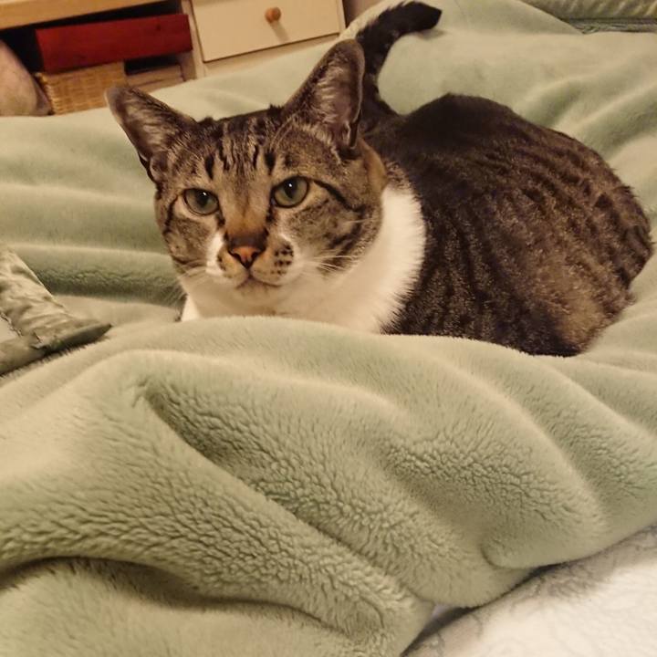 03f9ff46 432e 477f 9bce e61fa121d26e 1521539480537