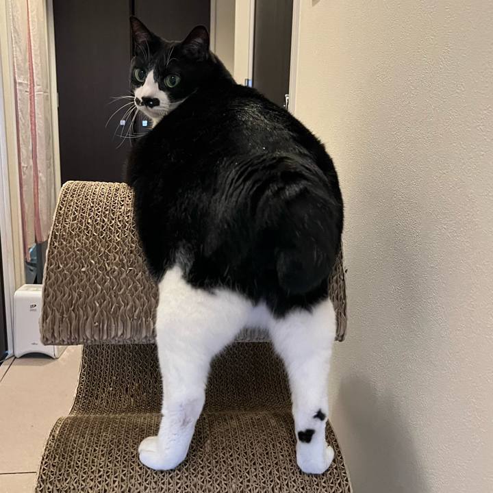 03fa2151 7c0d 4b72 8c3e f96eccdfc99b 1776288321796