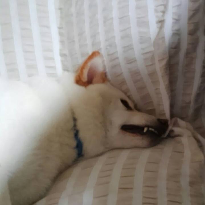 03fa2e48 4076 4ec0 9cdc b3b32aef161e 1528685476773