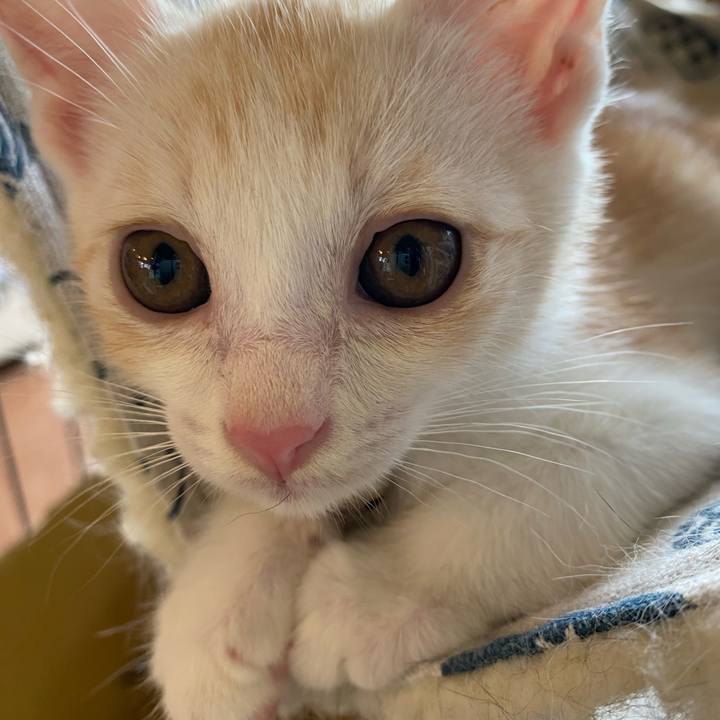 03fa5e8f cbe1 42c9 8bec 55a3b24460b8 1718701056618