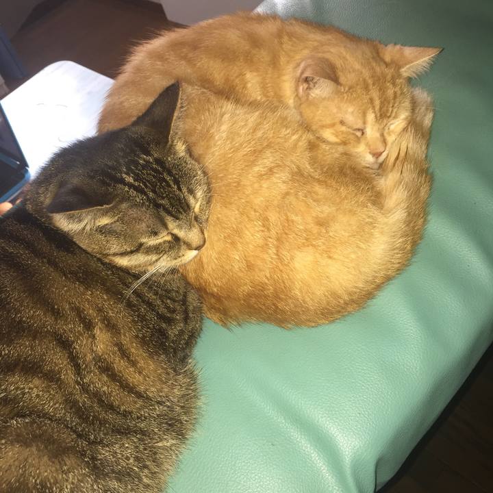 03fa759e 33b1 41c9 a575 76985a912f11 1572141343186