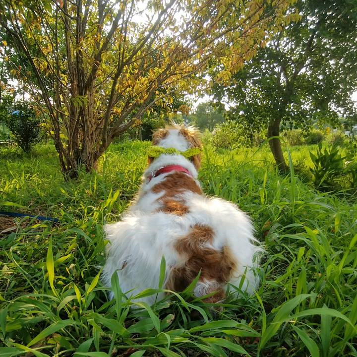 03fa9566 70e4 4576 9767 9b7122190c04 1564831681884