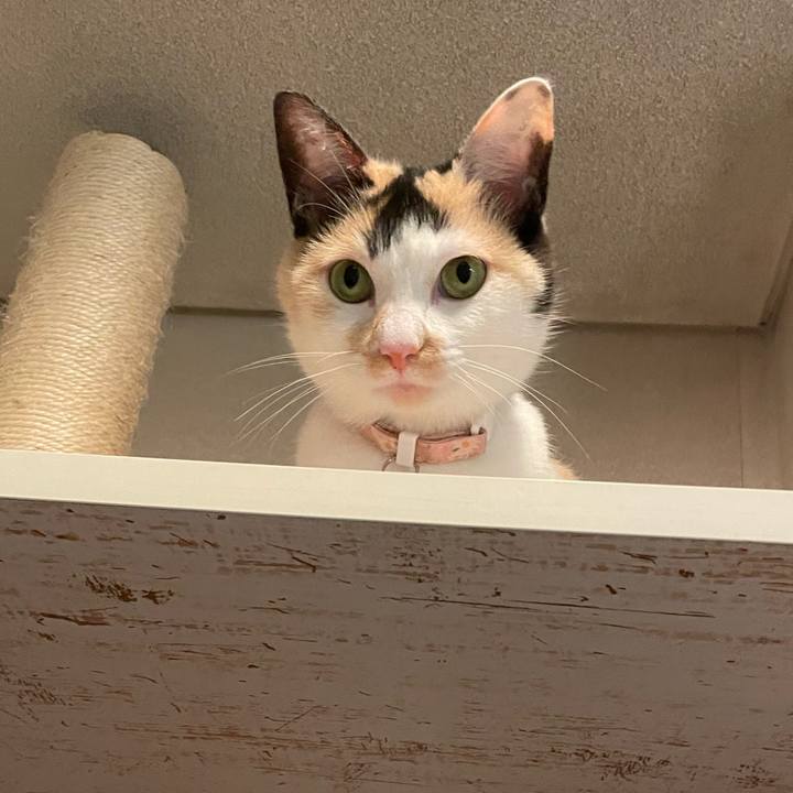 03fa9b1e 1287 488e 8150 b641608543a0 1709205930360