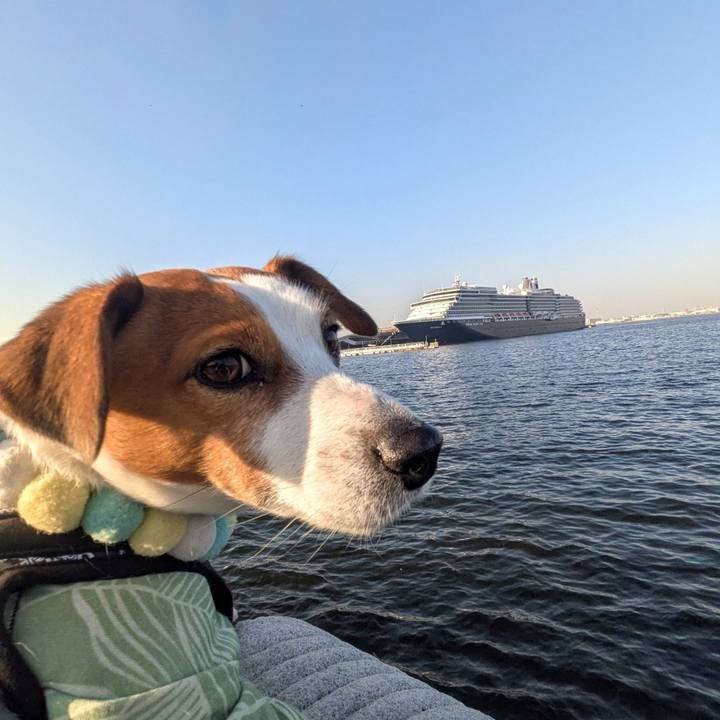 03fa9ee8 4f64 49f2 af86 682831207dfa 1771244459006