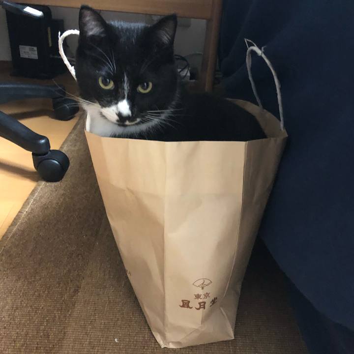 03fab657 8413 403b 9115 3ee65ab58029 1521784223450